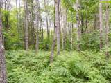  Ruth Road - Photo 16