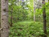 Ruth Road - Photo 20