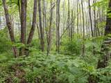  Ruth Road - Photo 23