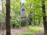  Ruth Road - Photo 25