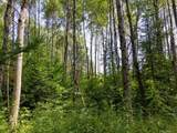  Ruth Road - Photo 27