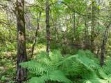  Ruth Road - Photo 28