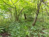  Ruth Road - Photo 8