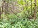  Ruth Road - Photo 9