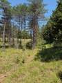 W7855 Trellis Road - Photo 5