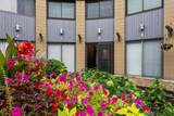 4545 Pine Street - Photo 13
