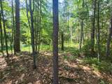 6280 Snipe Lake Road - Photo 17