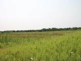  Sandhill Drive - Photo 6