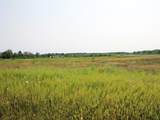  Sandhill Drive - Photo 5