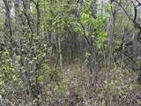  Mcgraw Street - Photo 5