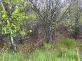  Mcgraw Street - Photo 6