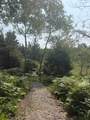445 Kus Road - Photo 23