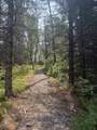 445 Kus Road - Photo 25