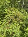 445 Kus Road - Photo 26