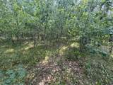  32ND Road - Photo 6
