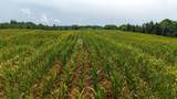  County Road 358 - Photo 24