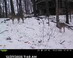 3973 Highview Drive - Photo 38