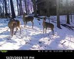 3973 Highview Drive - Photo 39