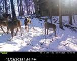 3973 Highview Drive - Photo 40