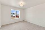 3685 Ella Jo Way - Photo 17