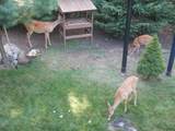 863 Maple Leaf Trail - Photo 88
