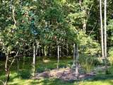  Maplewood Lane - Photo 2