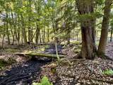  Maplewood Lane - Photo 11