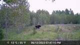 W2813 3-1 Lane - Photo 17