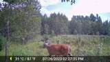 W2813 3-1 Lane - Photo 19