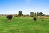 448 Woodfield Drive - Photo 49