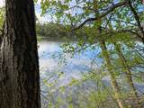  River Forest Drive - Photo 8