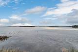 9407 Koby Lane - Photo 58