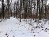  Twin Pine Lane - Photo 3