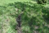 N5199 Marggi Lane - Photo 12