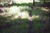 N5199 Marggi Lane - Photo 29