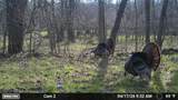 N5199 Marggi Lane - Photo 83