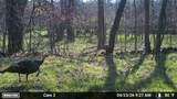 N5199 Marggi Lane - Photo 84