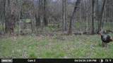 N5199 Marggi Lane - Photo 85
