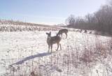  County Road E - Photo 8