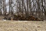 E1305 Bolt Road - Photo 26