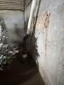 555 Pecor Street - Photo 40