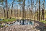 1383 Sonata Court - Photo 67