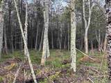  State Hwy M-35 - Photo 11