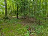  Island Lake Lane - Photo 2