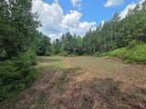  Spangenberg Road - Photo 2