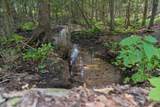 7150 Chase Road - Photo 44