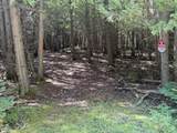  Sleepy Hollow Drive - Photo 4
