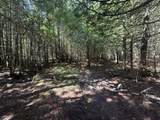  Sleepy Hollow Drive - Photo 6