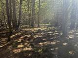  Sleepy Hollow Drive - Photo 8