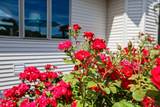 W4847 Cliff View Drive - Photo 51